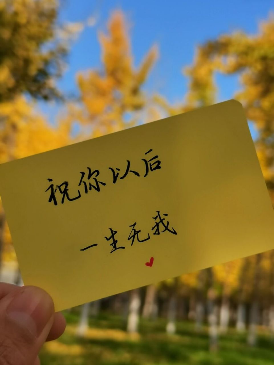 7815别爱太满 物极必反 	 #手写# #手写文案# #朋友圈文案