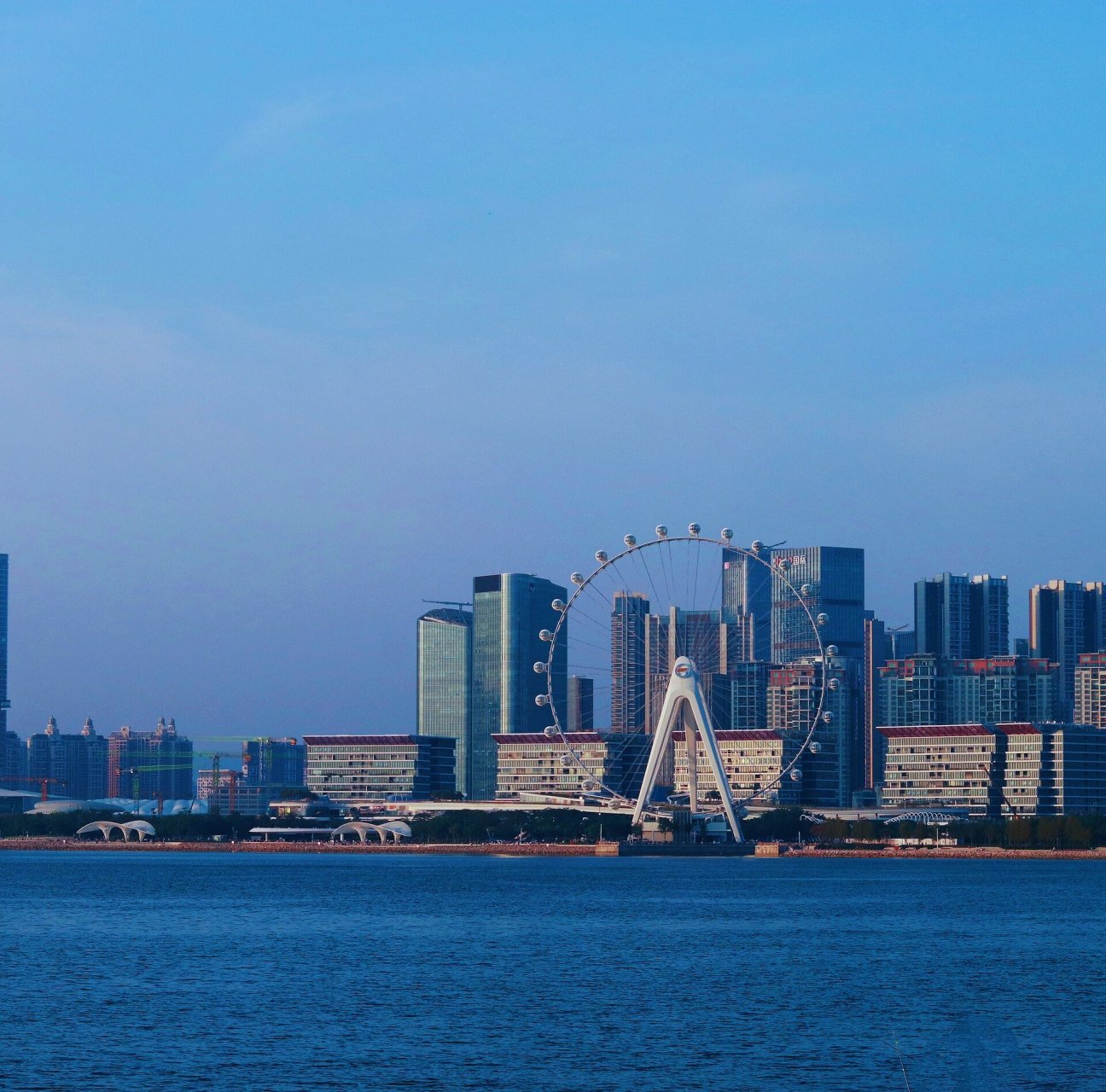 其他为深圳湾公园,d出口就是看海鸥的地方 以为周一会人少一点 一