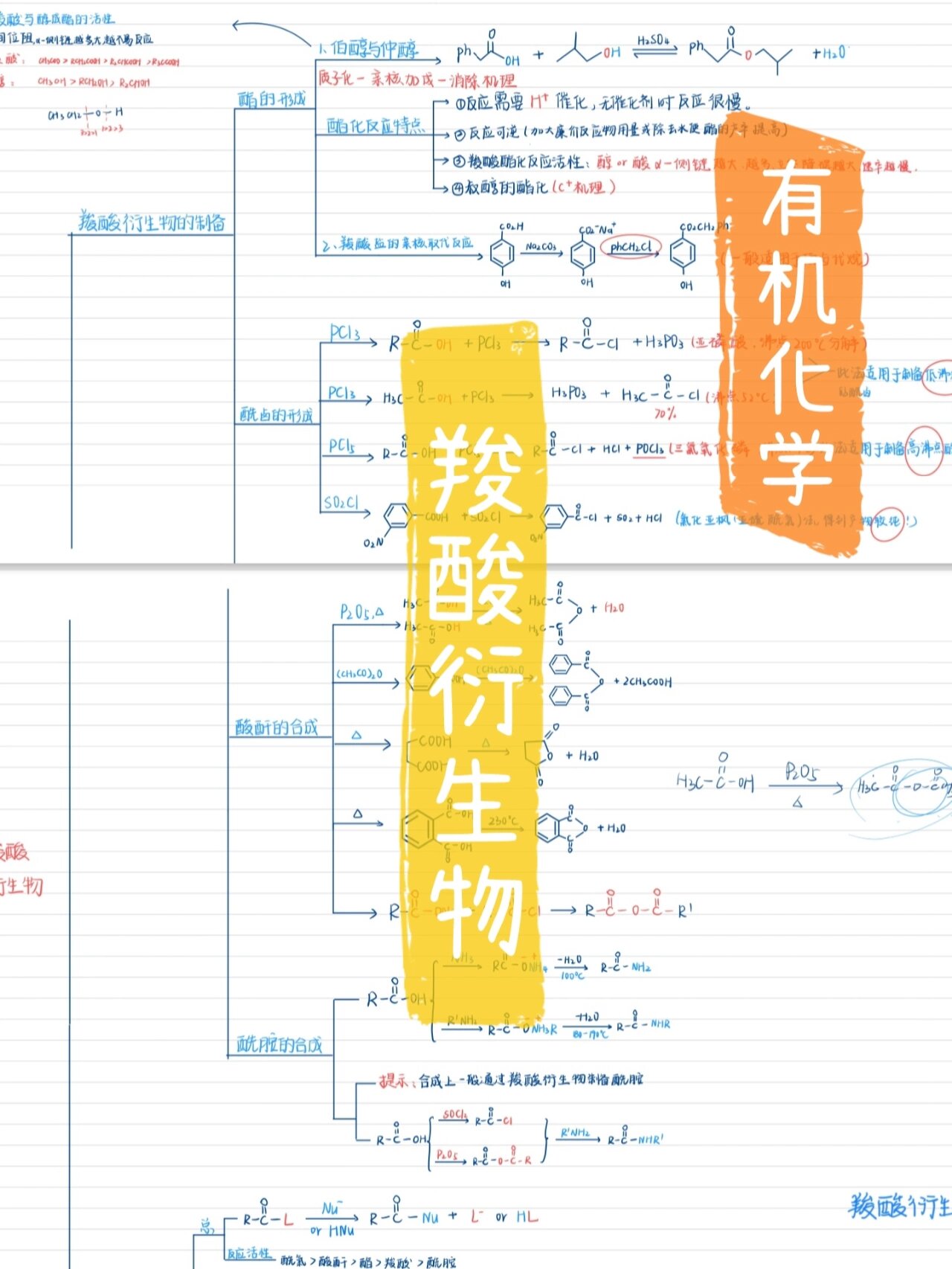 高三化学思维导图（物质结构/反应原理/有机）的简单介绍