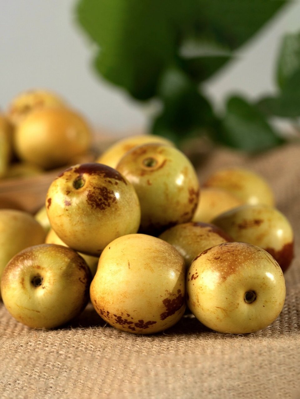 金秋九月,快来尝尝新鲜当季上市的大荔冬枣 冬枣是秋冬季节成熟的时令