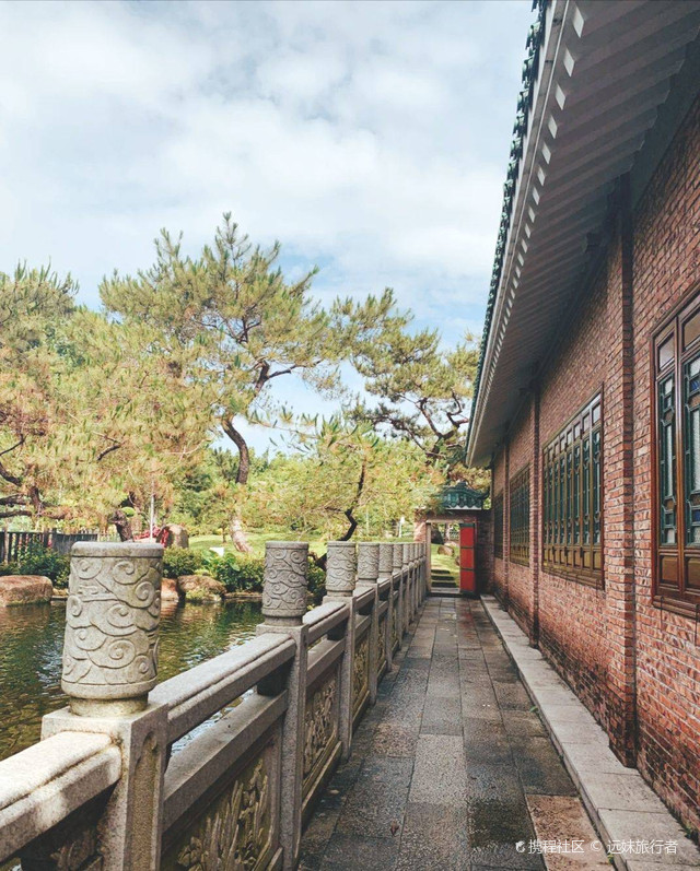 中山这个免费公园真的很古风名树园