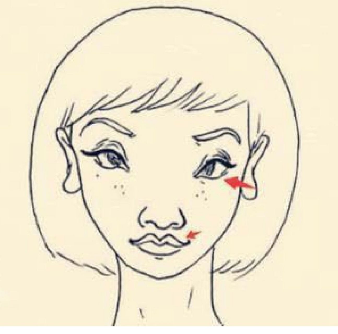 蜂目指的是眼睛长得像蜜蜂的眼睛,眼珠非常的小,眼角非常尖锐.