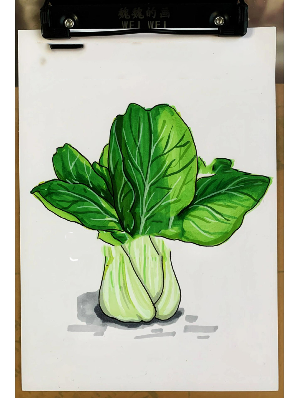 马克笔手绘9661油菜和上海青的区别在哪里02   一直有一个疑问