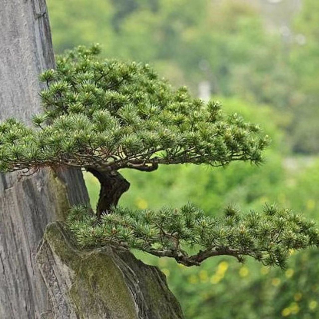 励志男人的头像 绝处逢生 先苦后甜