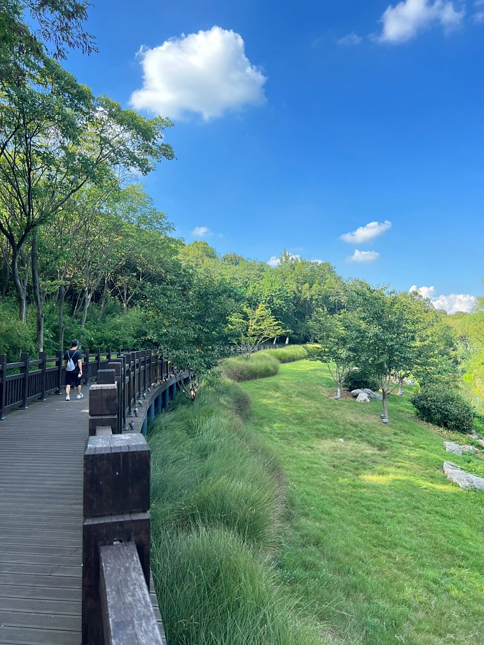 休闲溜达的好去处|南京羊山湖公园9393          羊山公园(羊山