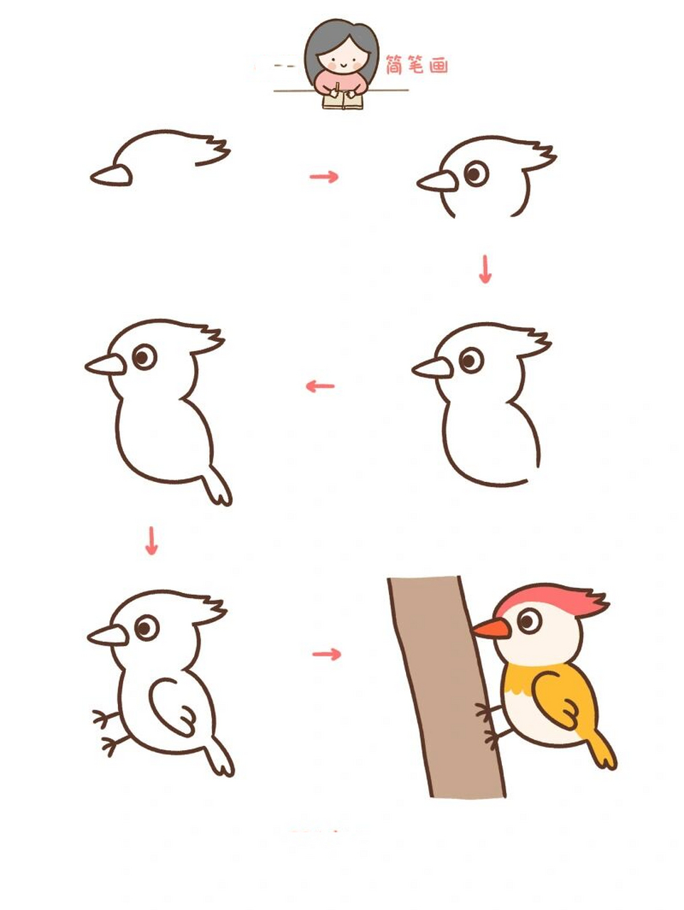 小贝简笔画-啄木鸟 啄木鸟是著名的森林益鸟,除消灭树皮下的害虫如