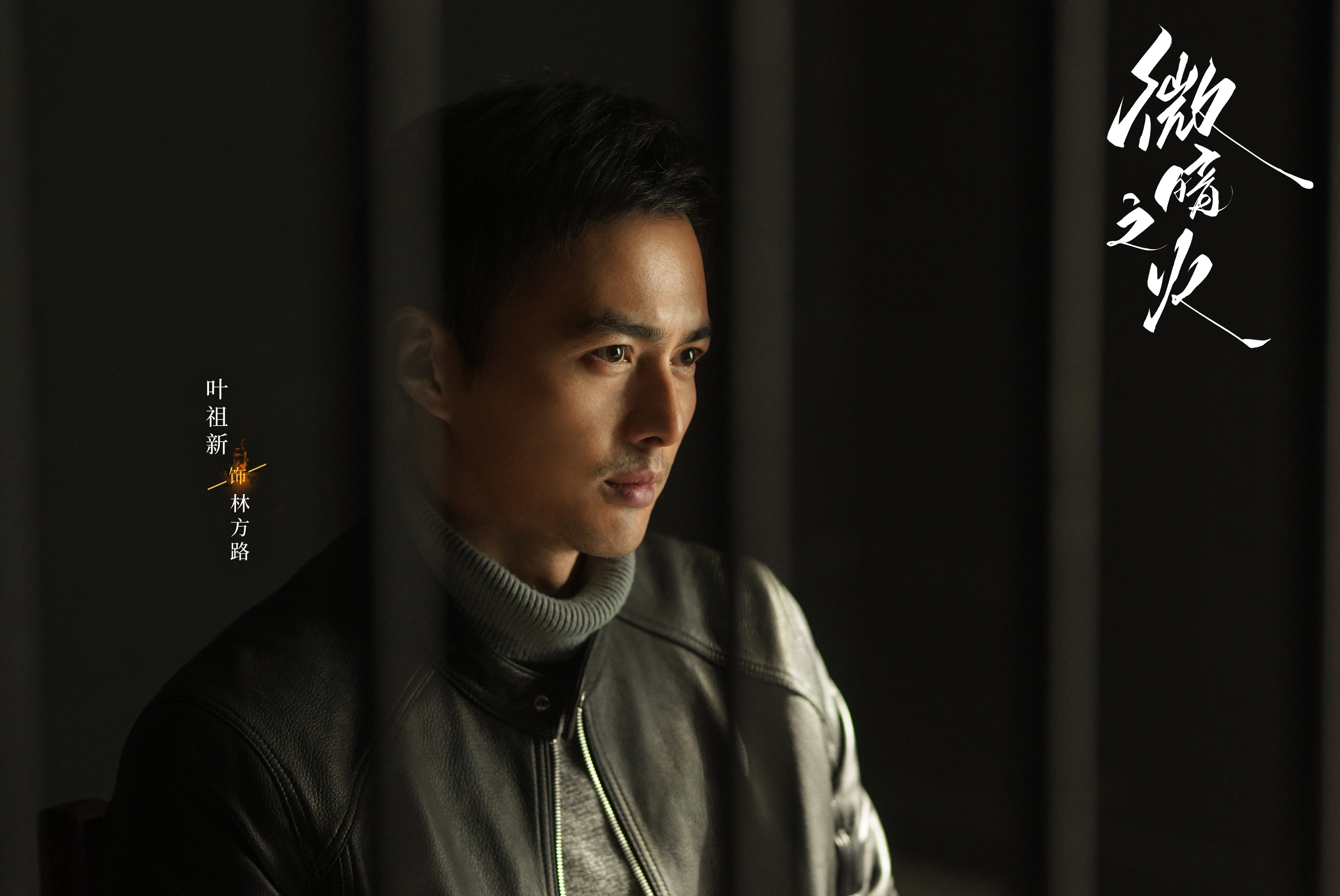 8cctv电视剧,优酷,姚晓峰导演作品#微暗之火# 等你来