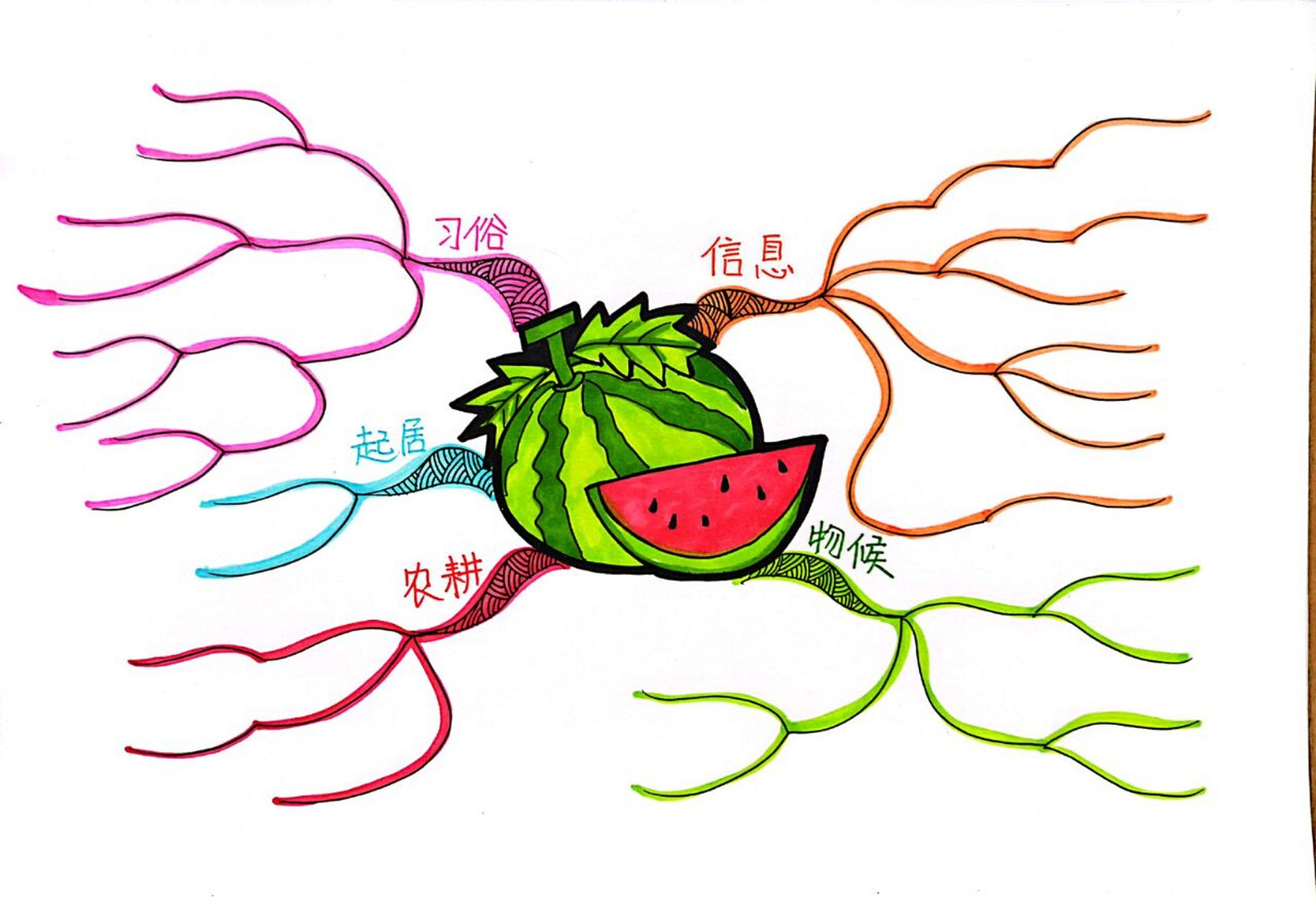 手绘思维导图 | 二十四节气之"小暑" 信息:公历7月6,7,8日交节,太阳