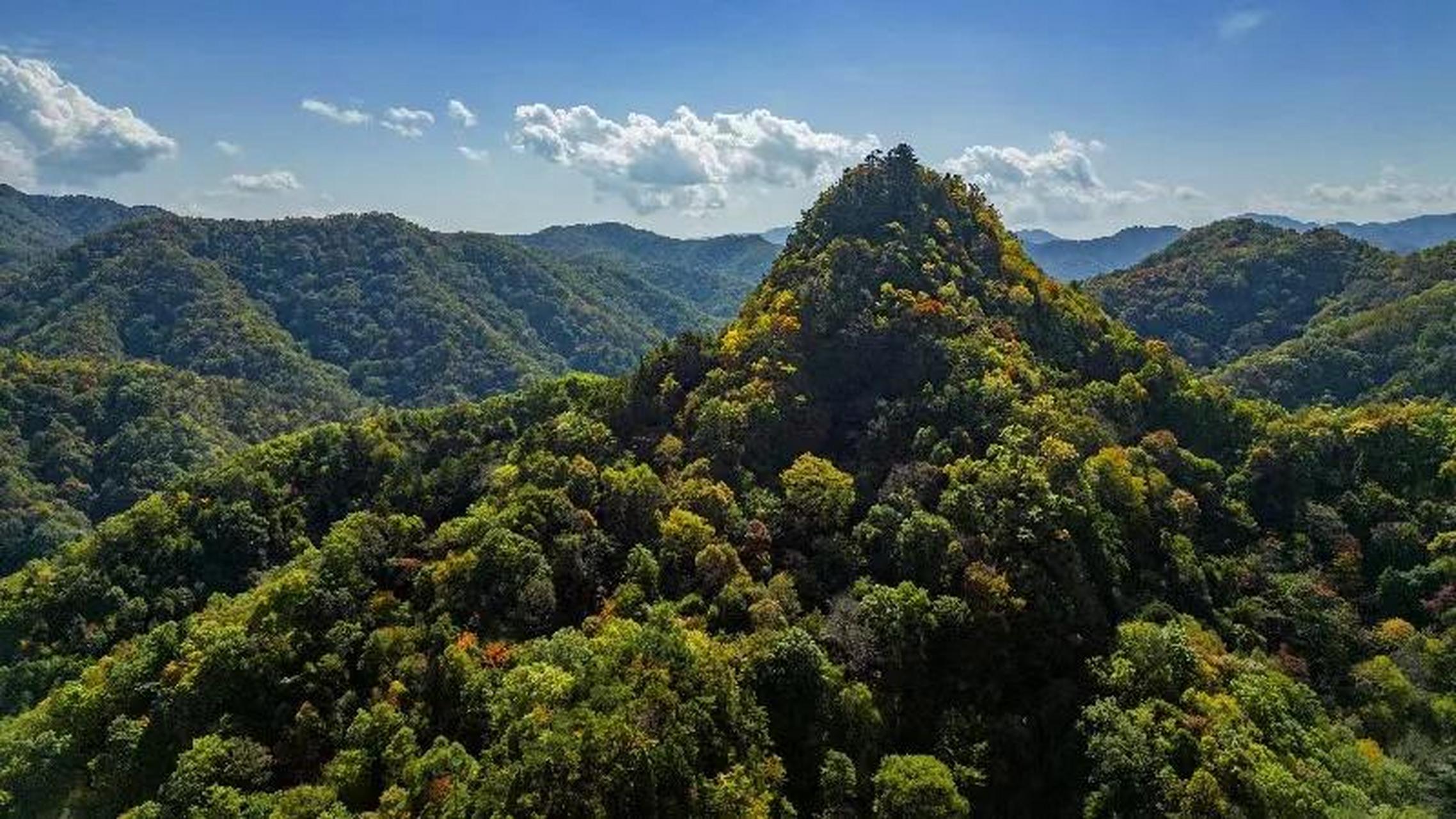 天水石门山秋韵(摄影陈治平)甘肃 幸福天水 天水人看过来 秋天色彩