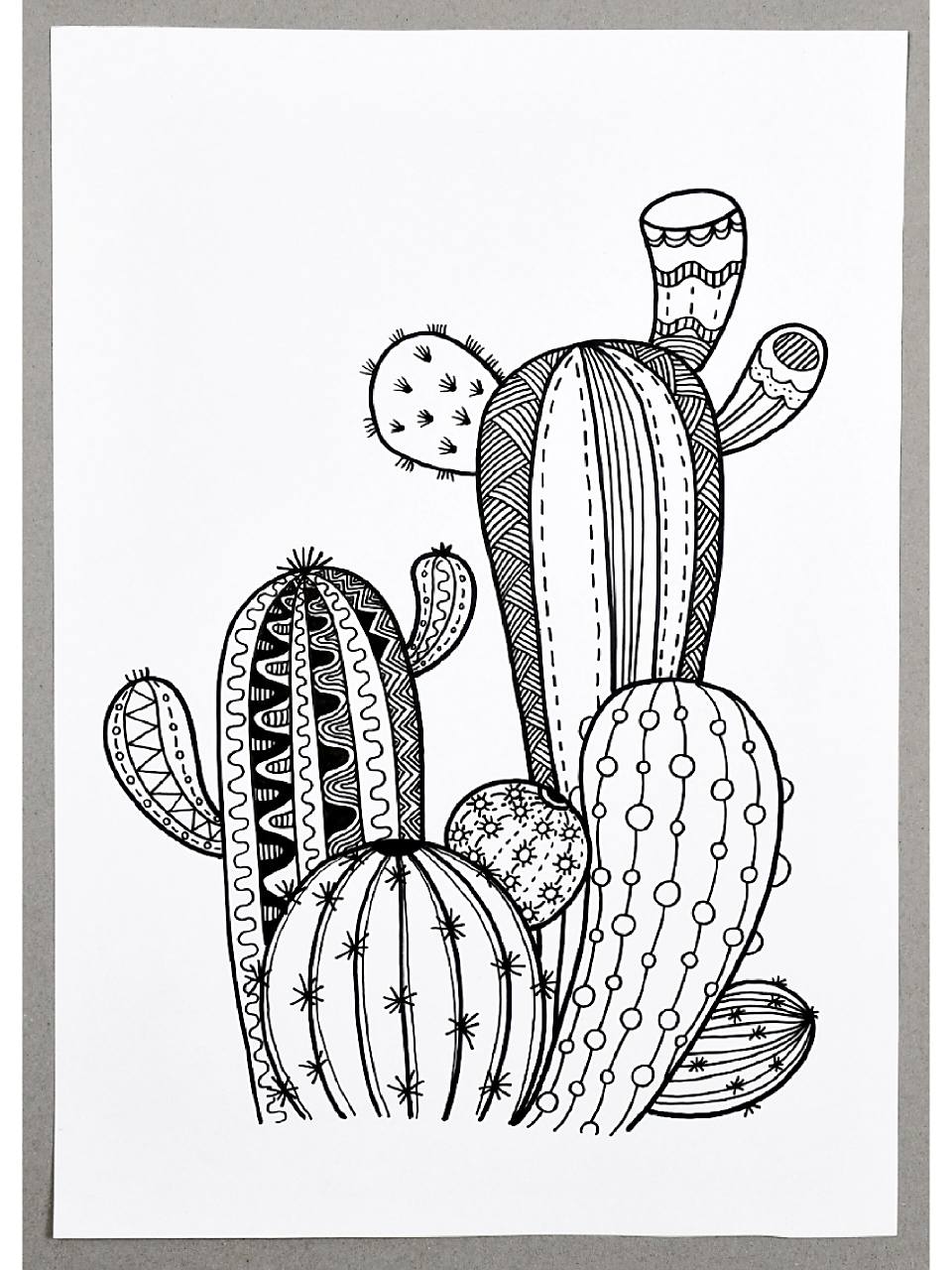 儿童画教程|一盆仙人掌 【教学重难点】  ①欣赏仙人掌的图片素材