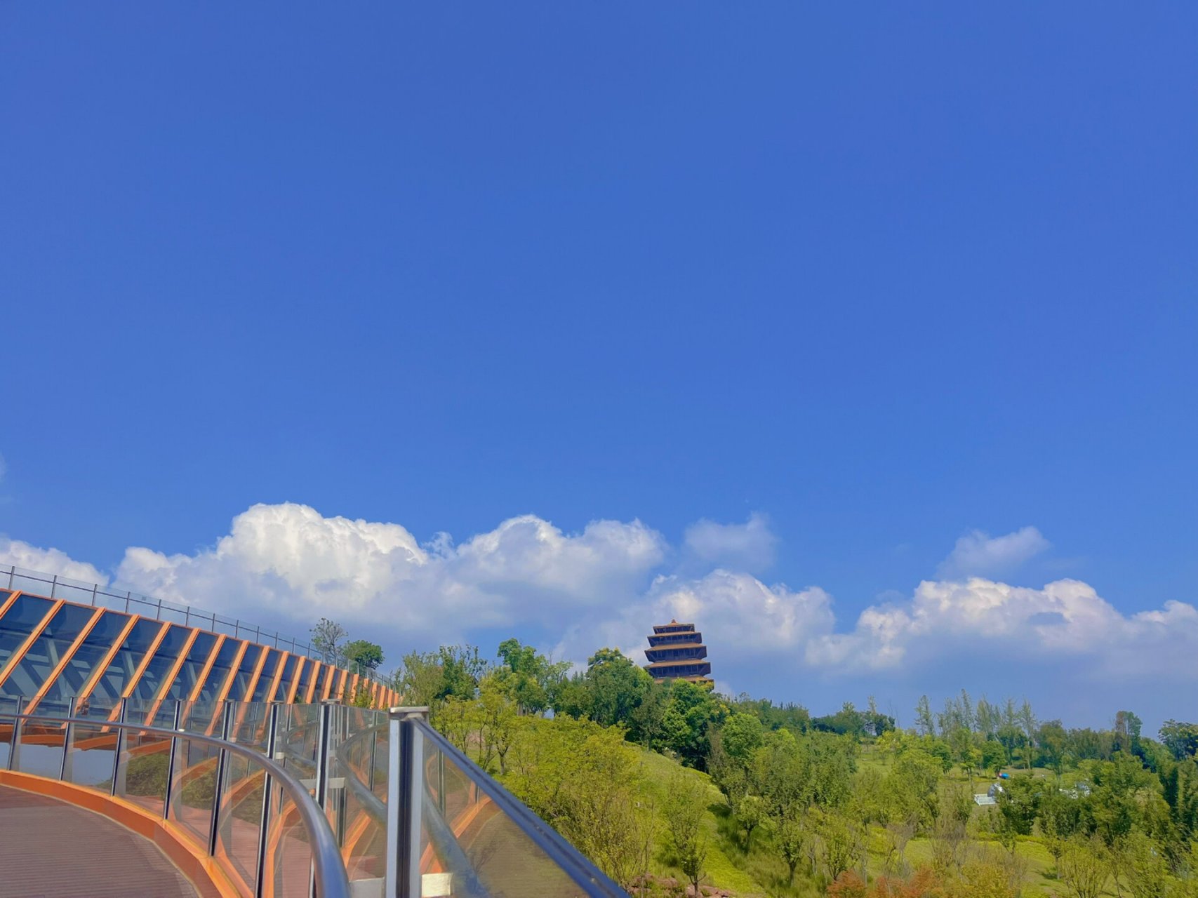 成都遛娃|4a景区无门票77风景宜人步行友好 新晋打卡地:龙泉山森林