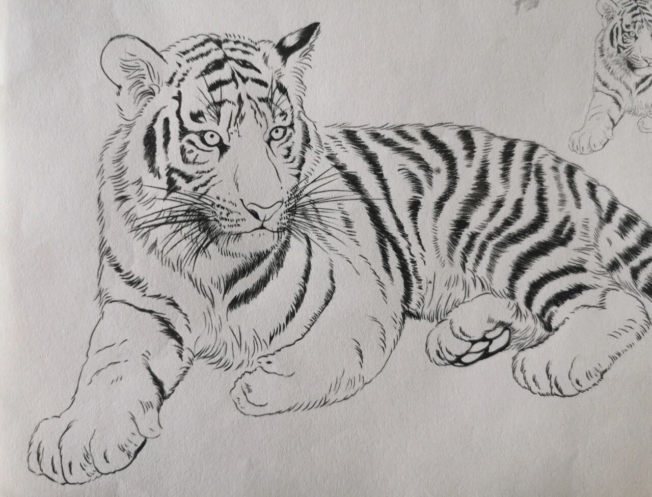 工笔绘画～老虎91(图片@入门向道的动态