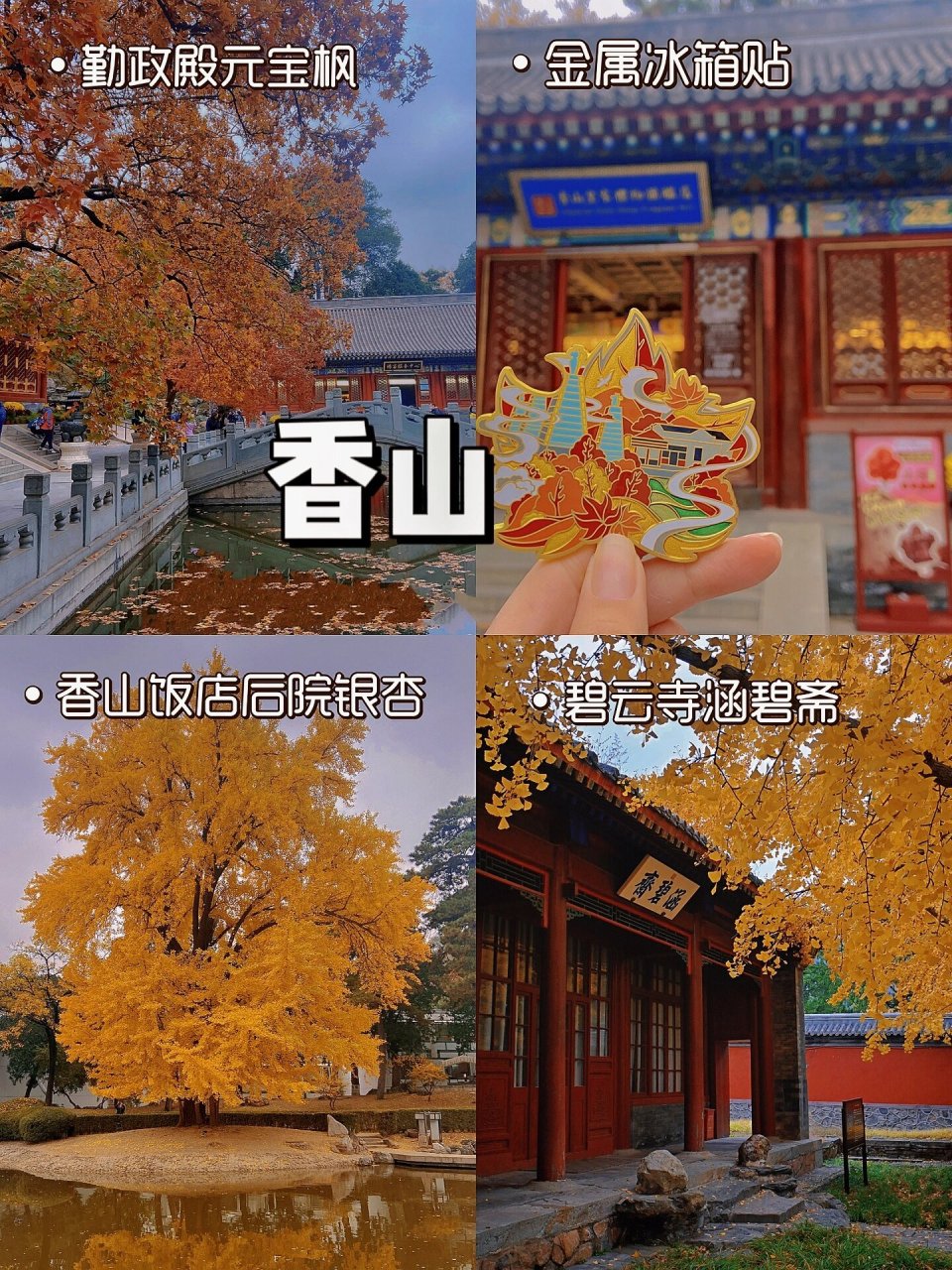 香山碧云寺门票图片