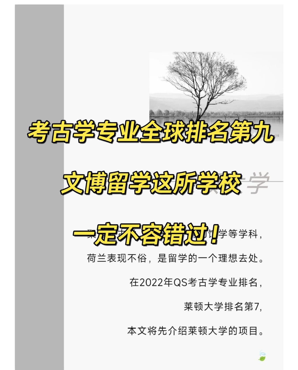 在2022年qs考古学专业排名,莱顿大学排名第7,本文将先介绍莱顿大学的
