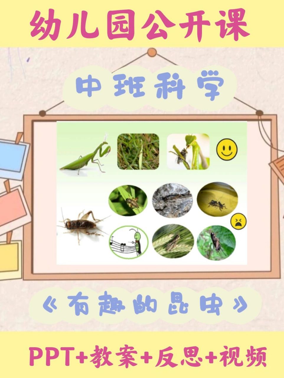 幼师课件|中班科学教案《有趣的昆虫》 99温柔耐心的幼师,给小朋友