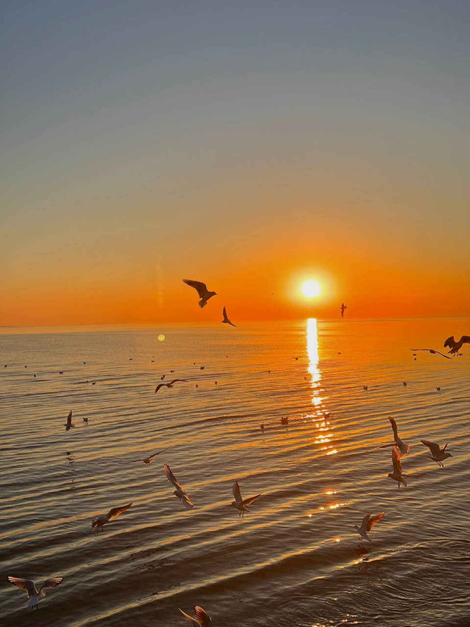 日破云海间98天津东疆湾橘子海日出 让我康康是谁还没看过冬日浪漫