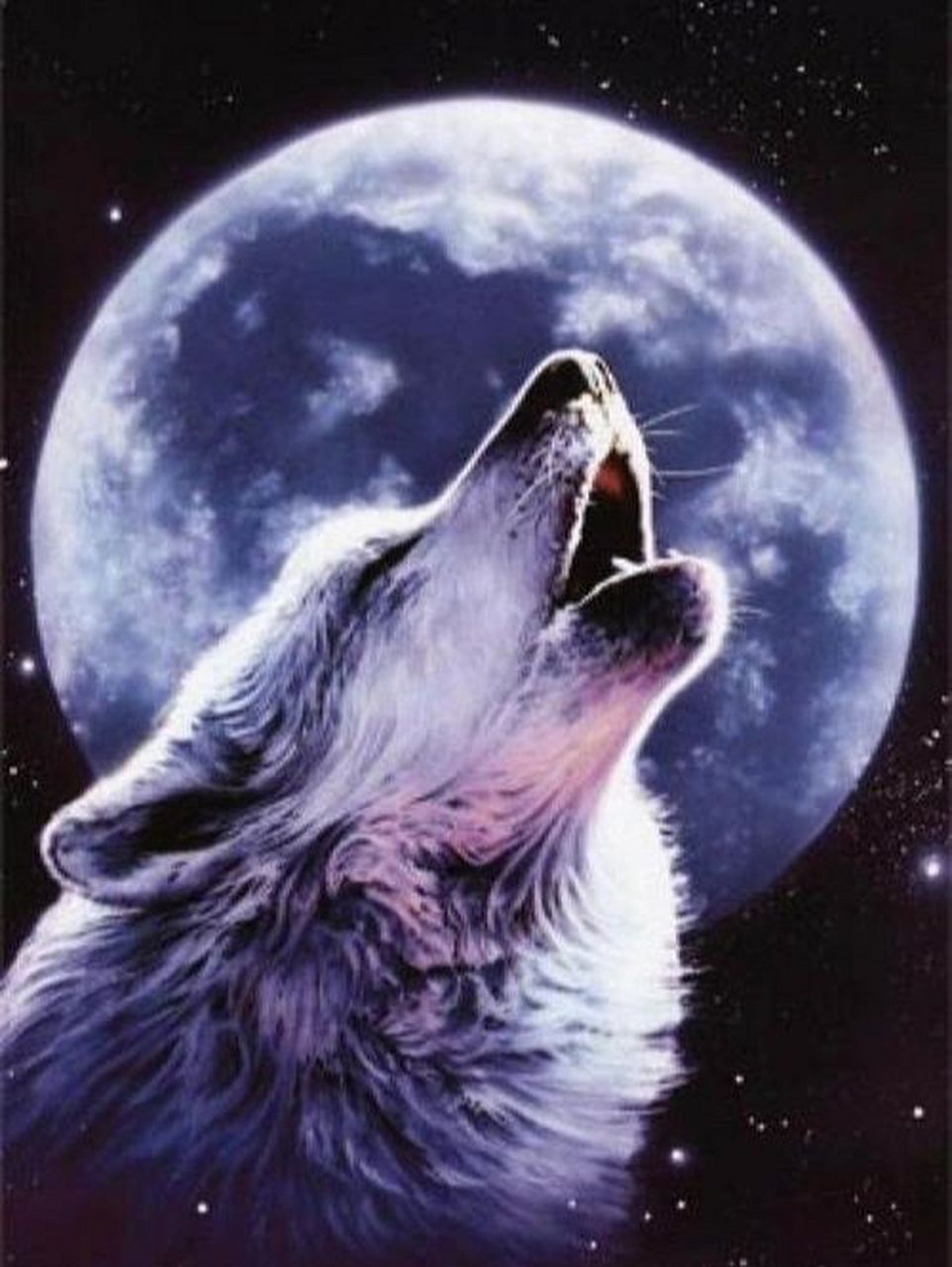 狼的头像,大家喜欢可以直接拿图