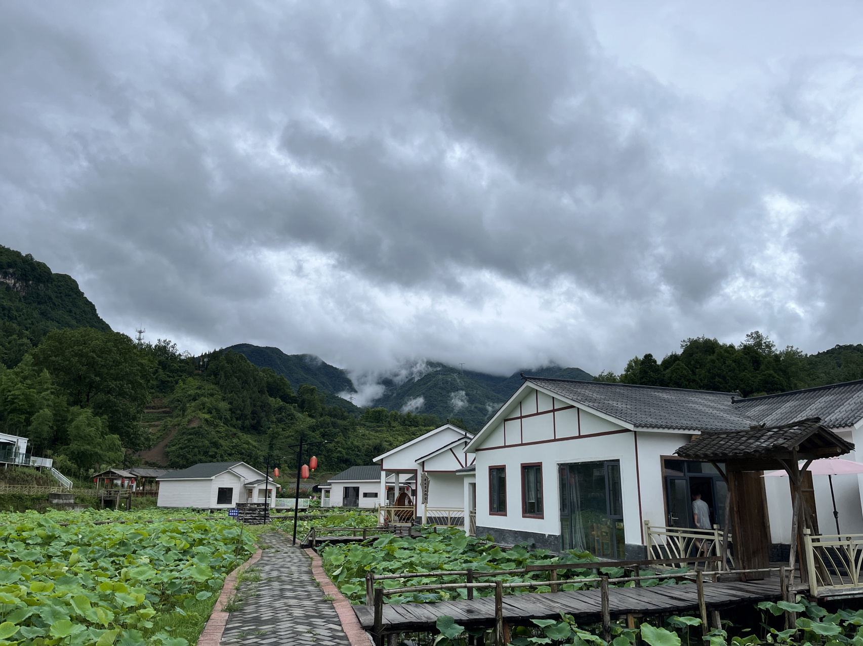 民宿在安康市石泉县后柳镇上 群山环绕 房子都在荷花塘上面 都是
