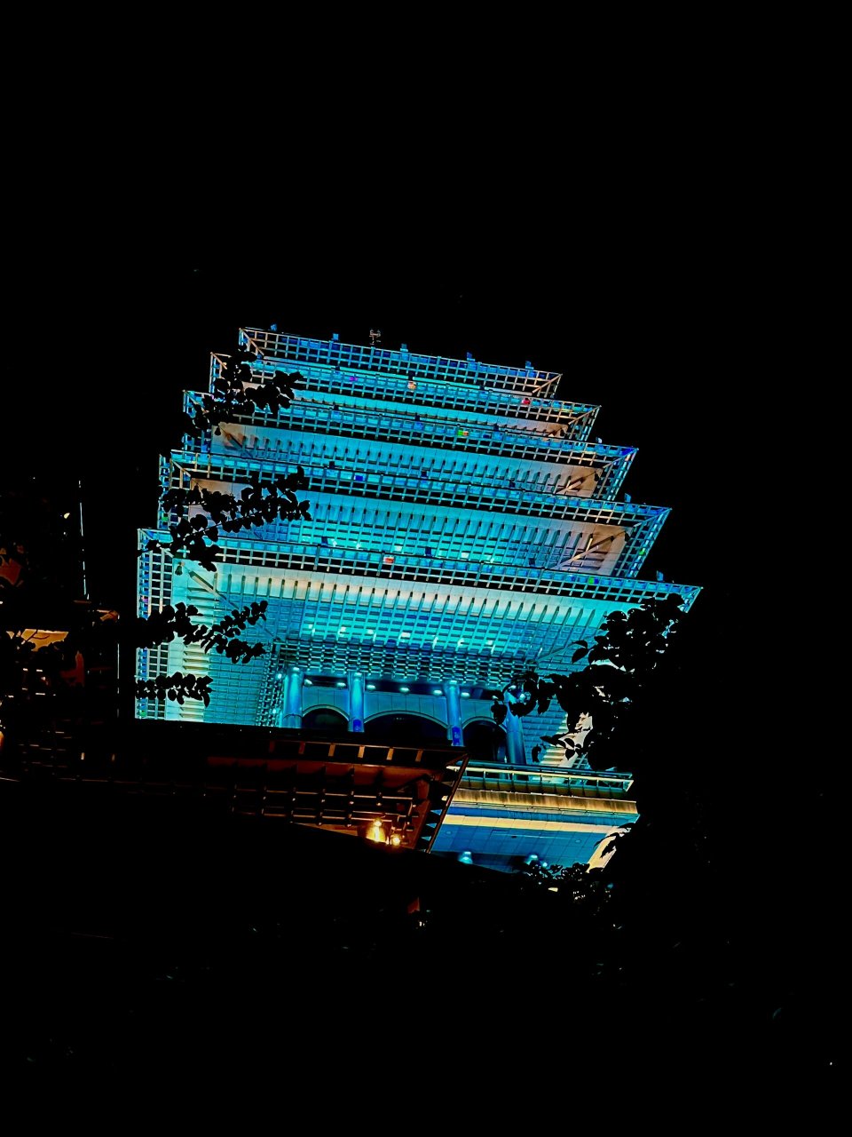 一路灯光,照亮前行的道路,感觉非常妙,景色也不错,可以眺望临平夜景