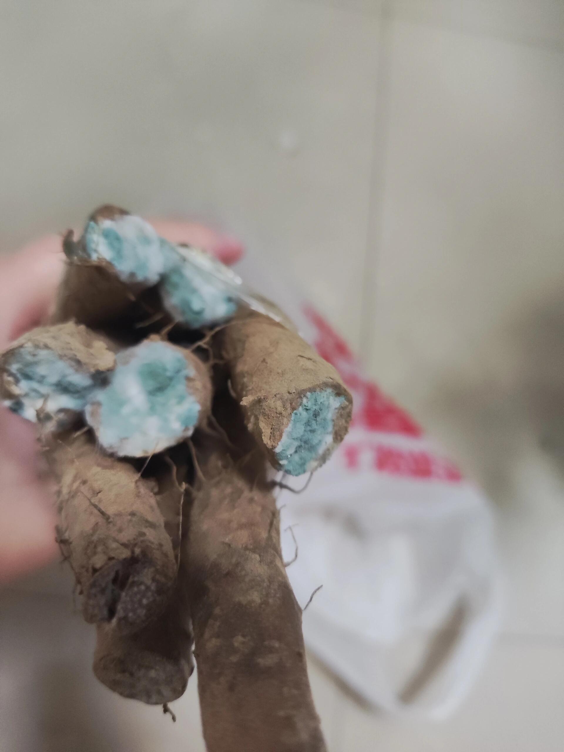 山药为什么会变黑点百科在线 山药为什么会变黑点百科在线