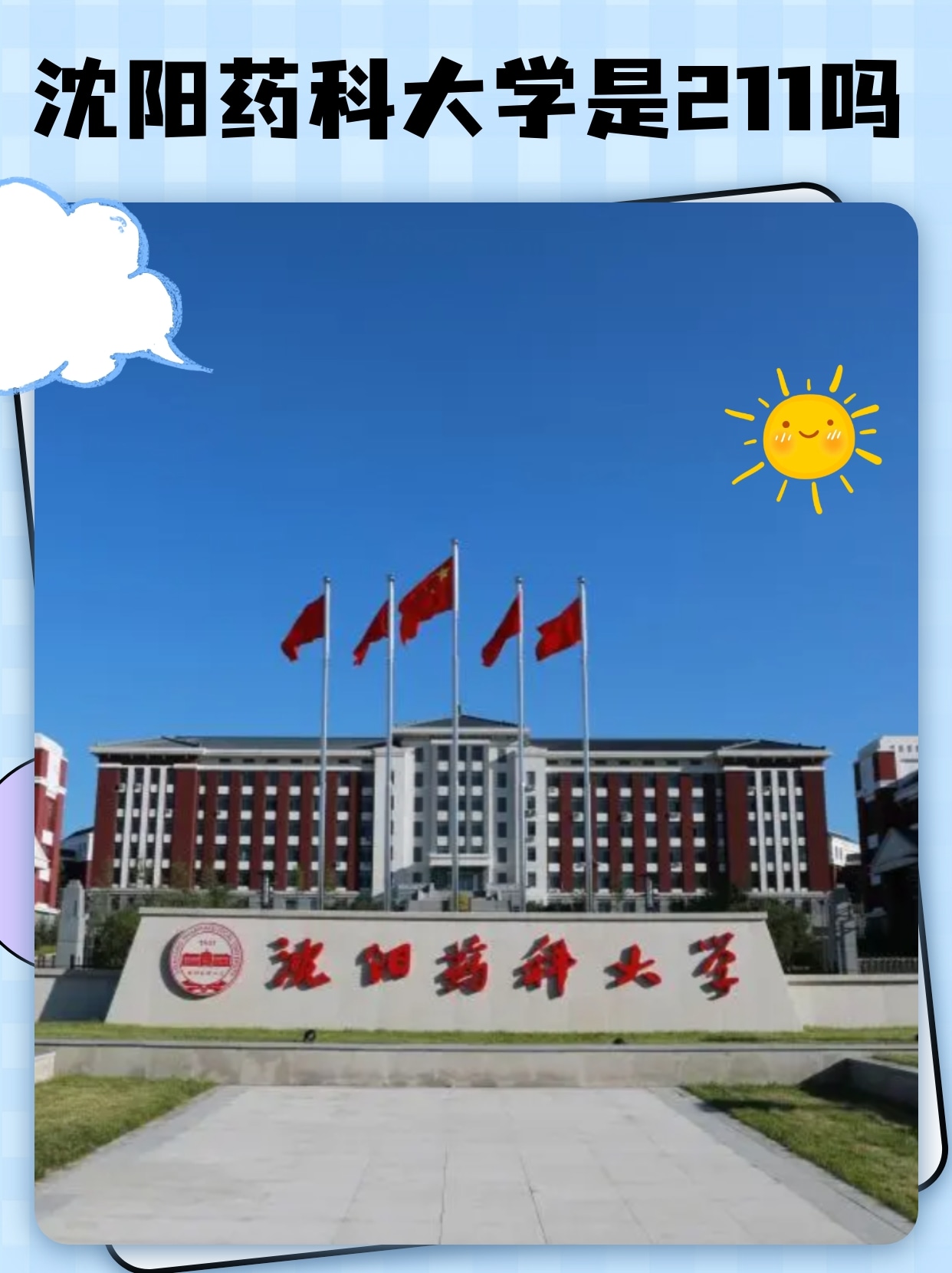 沈阳药科大学是211吗