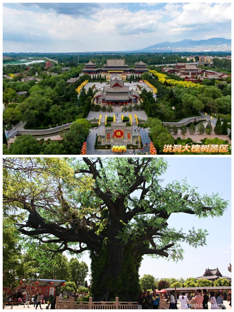 山西洪洞县～大槐树"寻根"·"祭祖"-携程攻略
