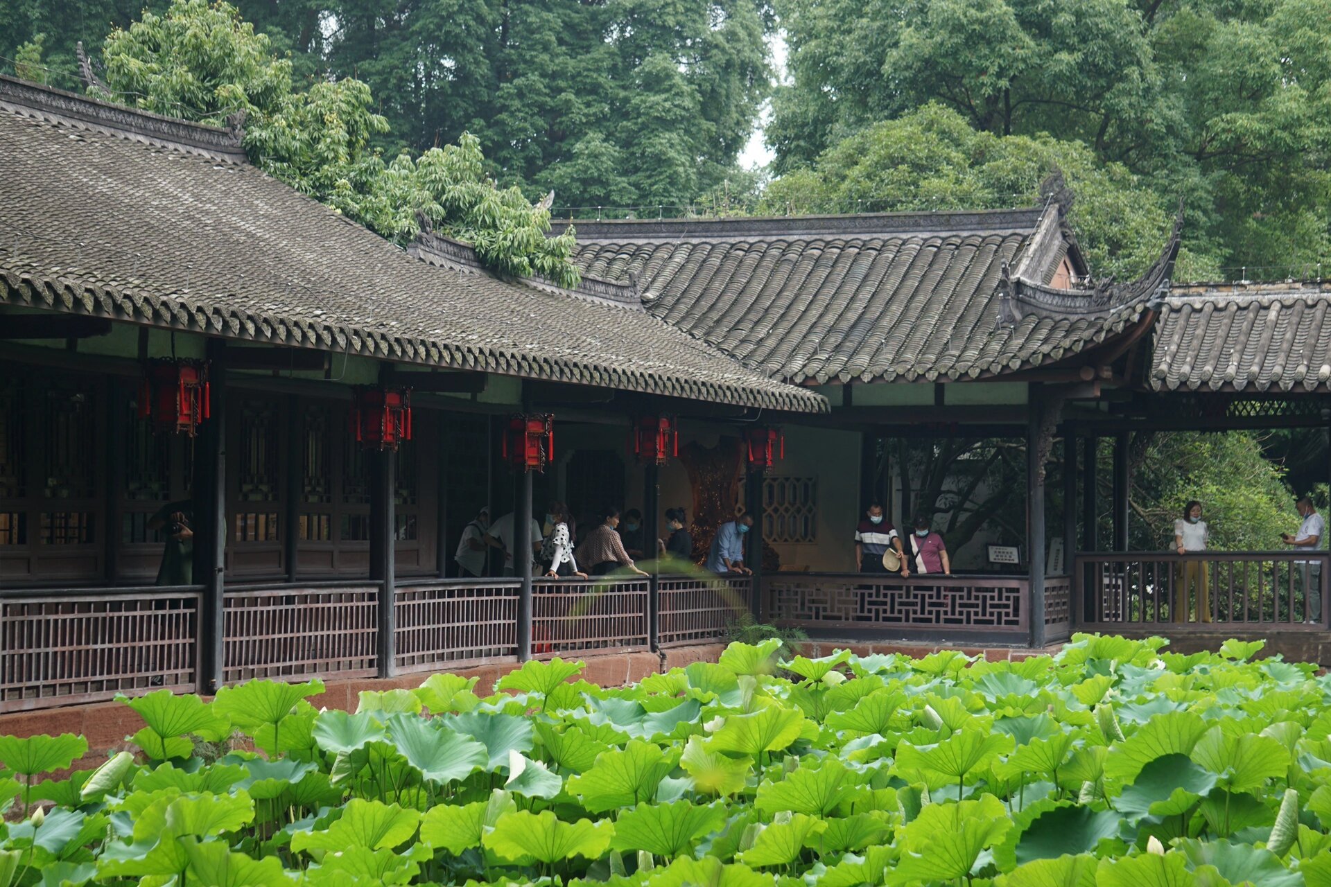 眉山三苏祠|园林美景中领略三苏的千年风流 75地点:眉山三苏祠,位于