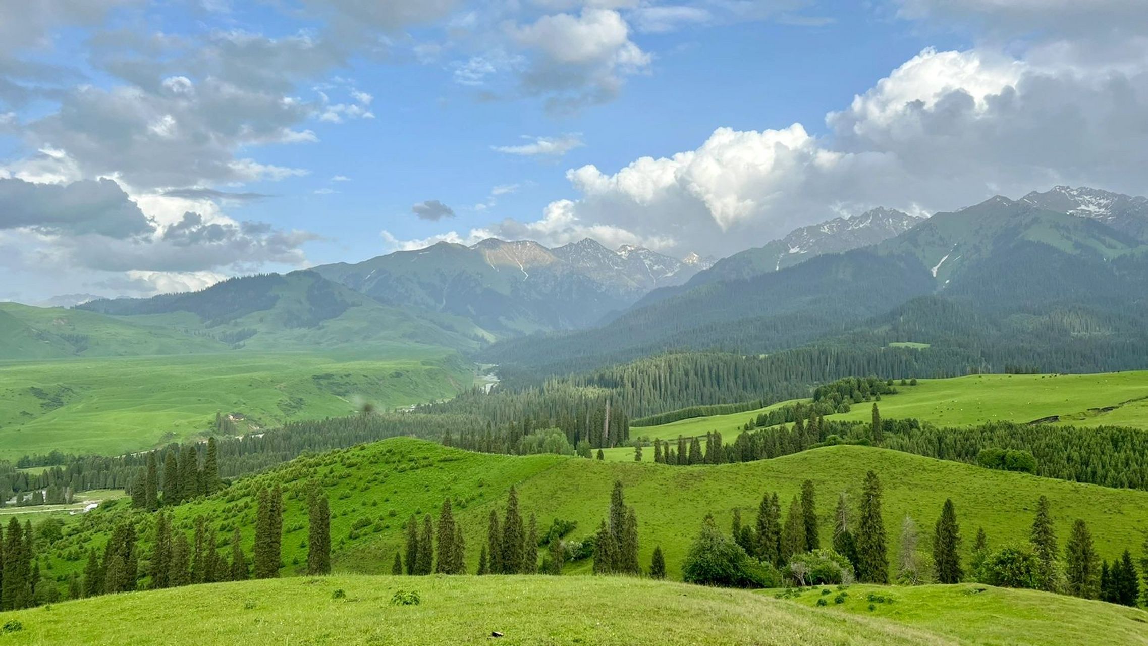 这有森林,草原,河流,山脉 在新疆伊犁,恰西在我心目排no.