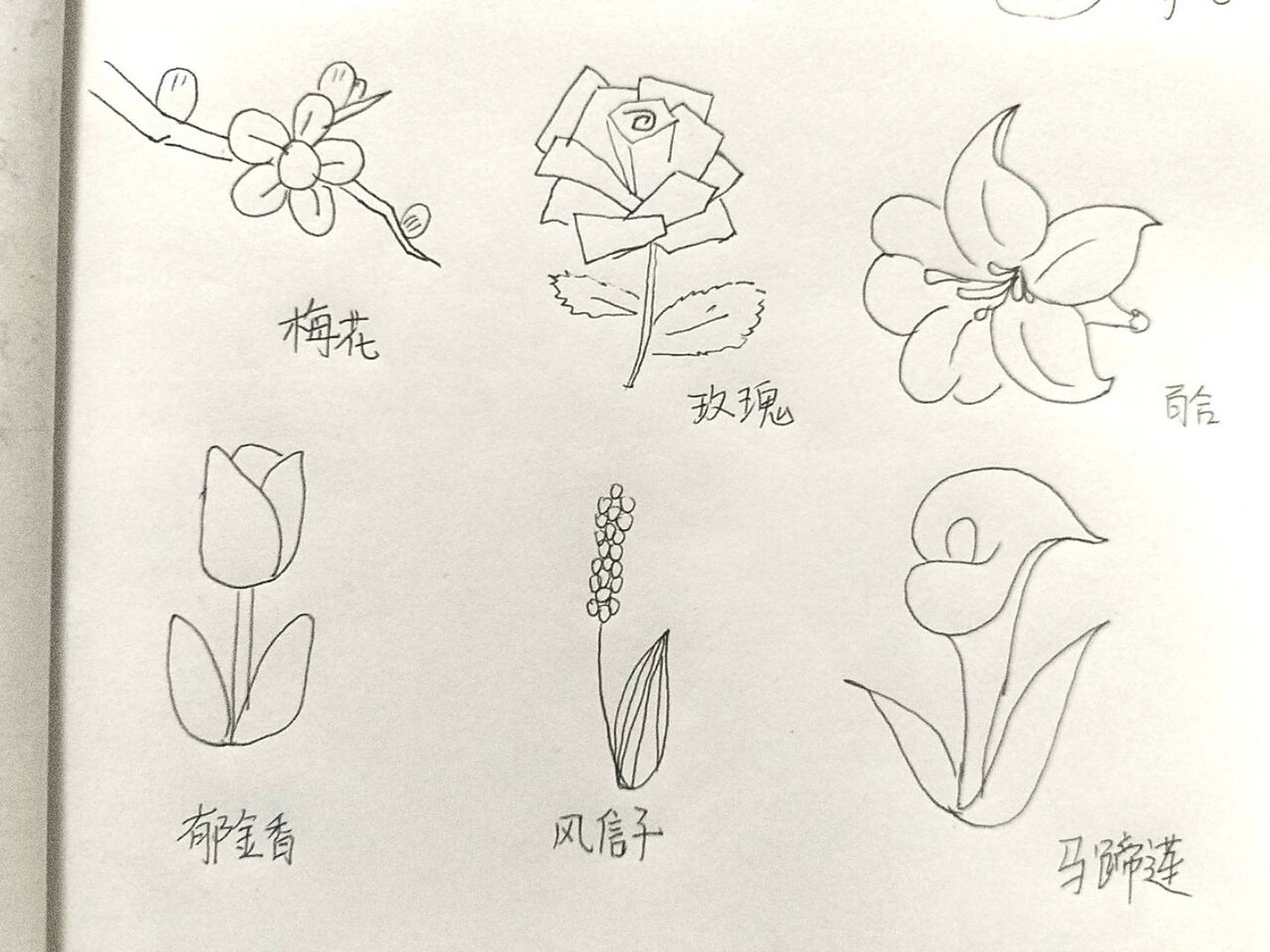 简笔画 花花94 第一个97看起来不太聪明的亚子.