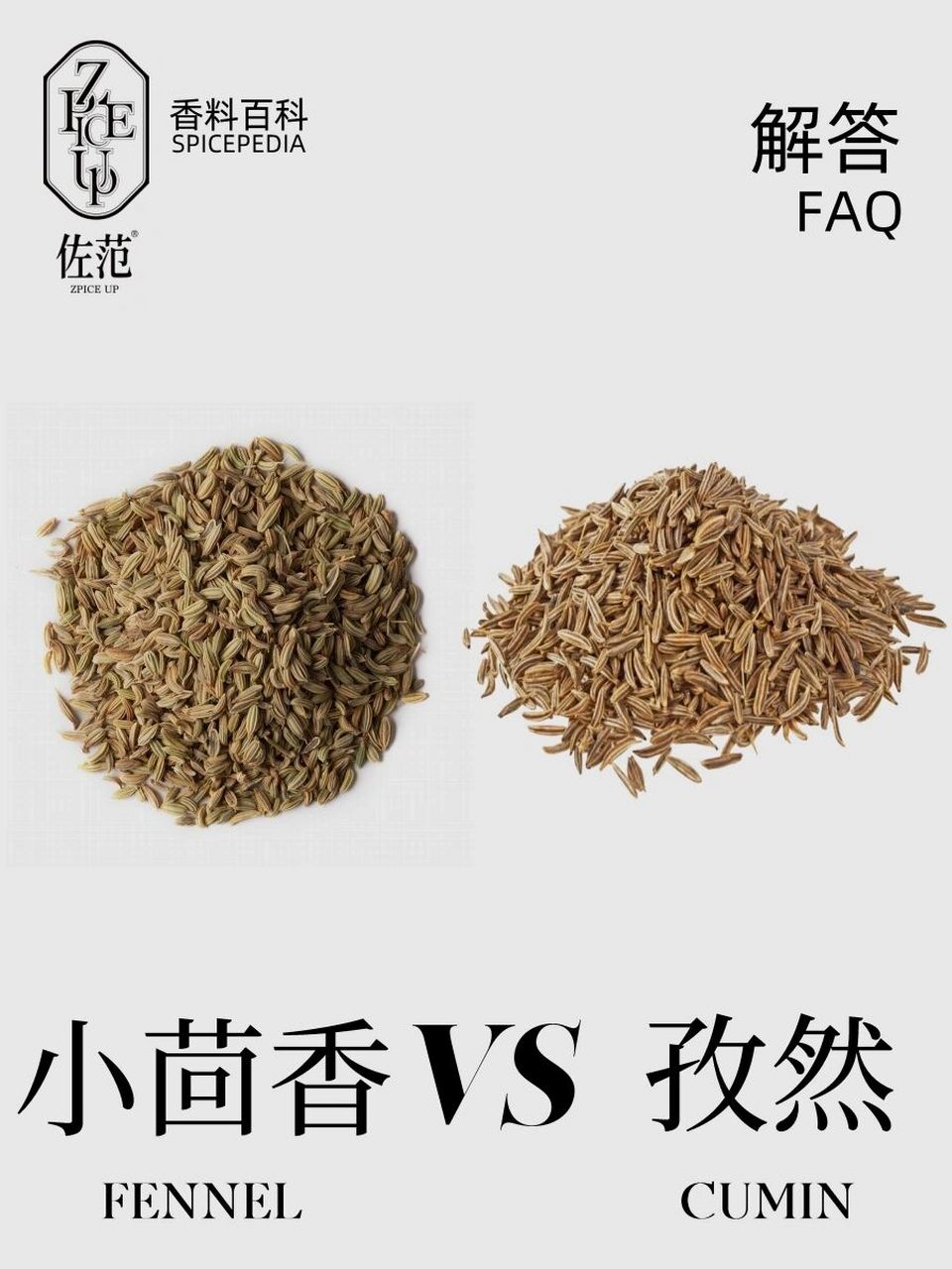 香料faq|如何分清「孜然」vs「小茴香」姐妹花 不定期上线的faq又来了