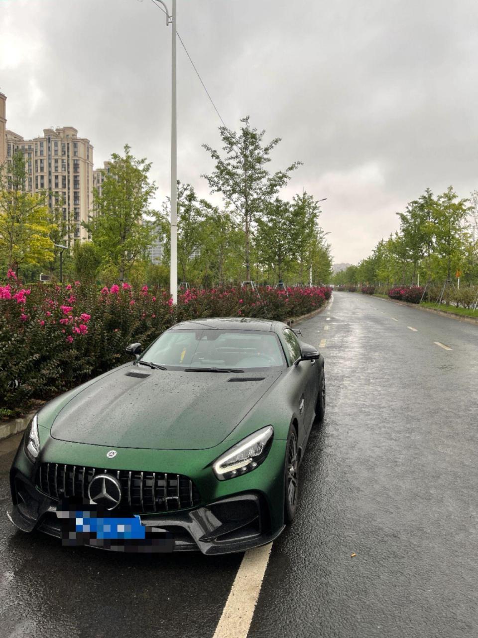 amg gtc售价图片