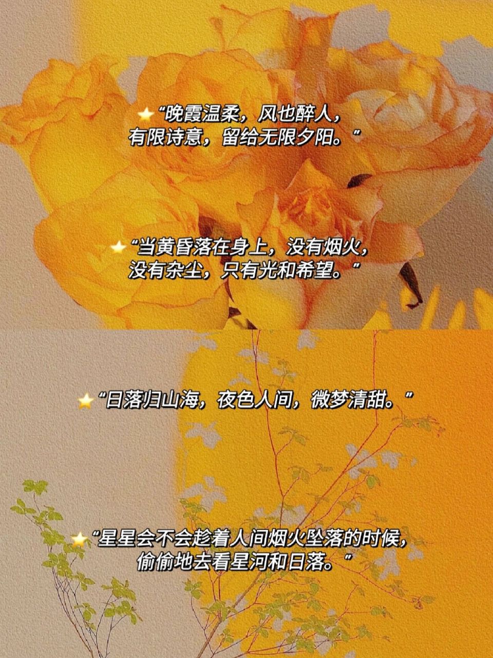 今天给大家分享一些关于落日与晚风的绝美文案.