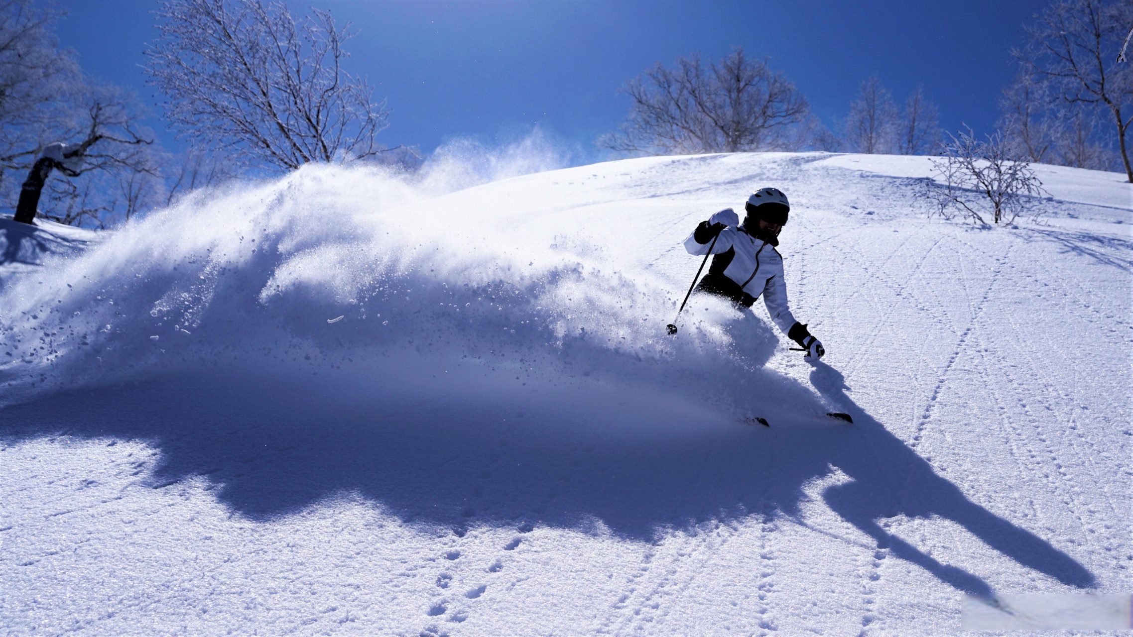 雪谷滑雪场图片