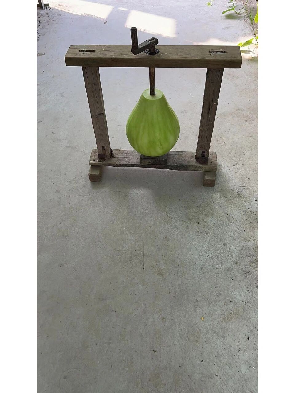 这个削葫芦条工具你见过吗? 葫芦条馅的饺子,吃过吗,太好吃97