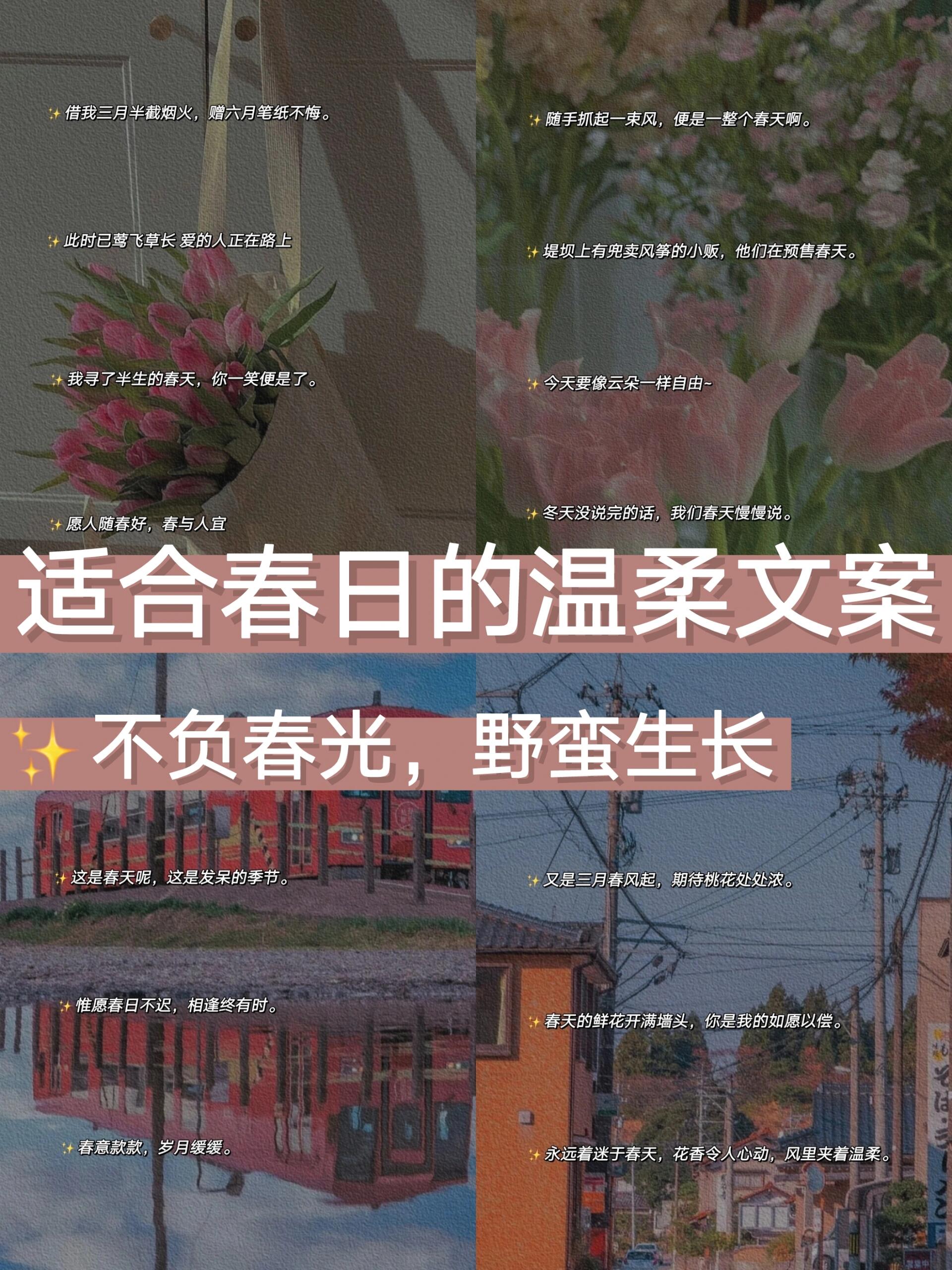 97 不负时光的温柔春日文案