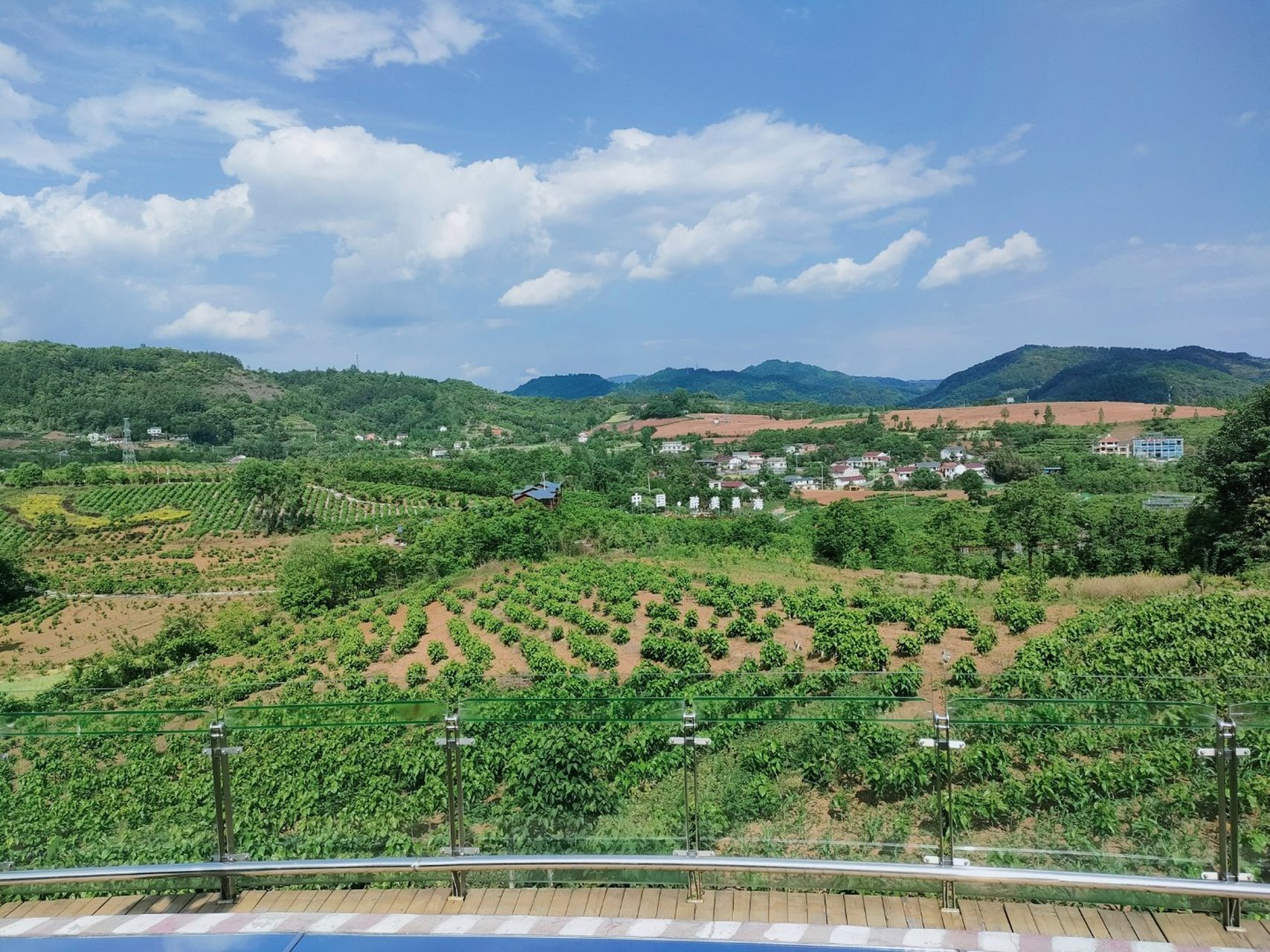 巾帼奋进看三秦#初夏时节的石泉县池河镇明星村绿意盎然,一间间民宿