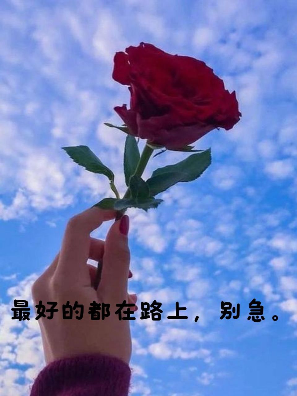 最近最火的心情句子 99 今晚的月光,有点儿寂寞.