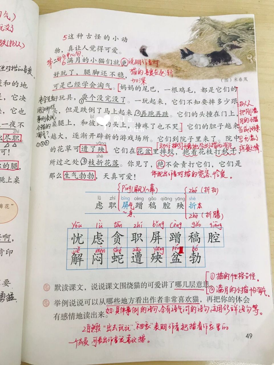 四下部编第13课《猫》93 笔记更新来啦!