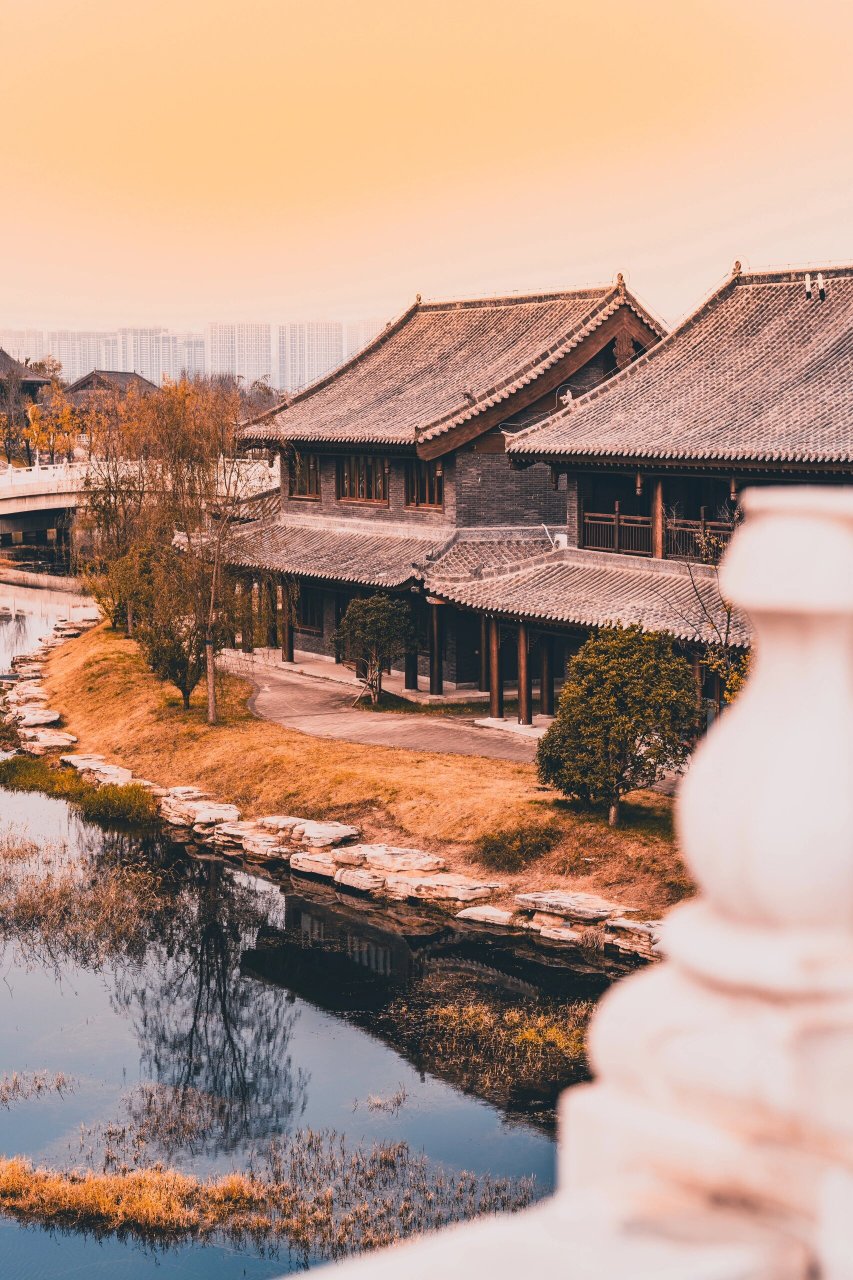 贾鲁河明伦岛游记:一场穿越千年的秋 在郑州的明伦岛,仿佛穿越了千年