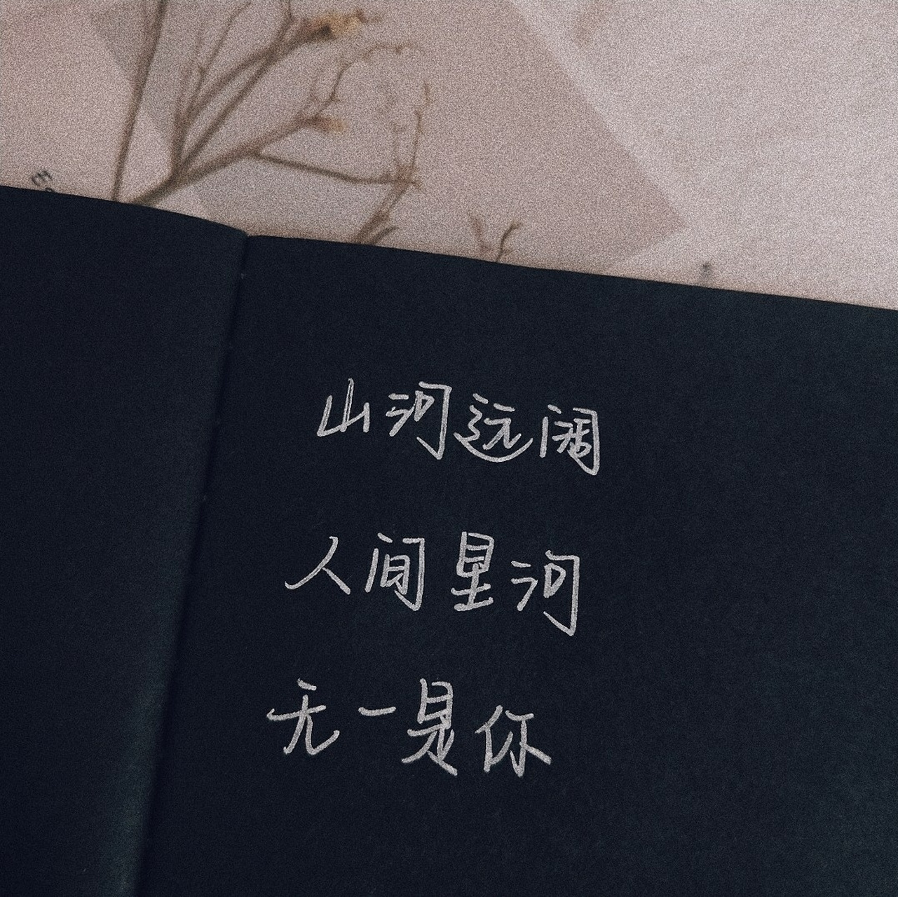 949494 山河远阔 人间星河 无一是你