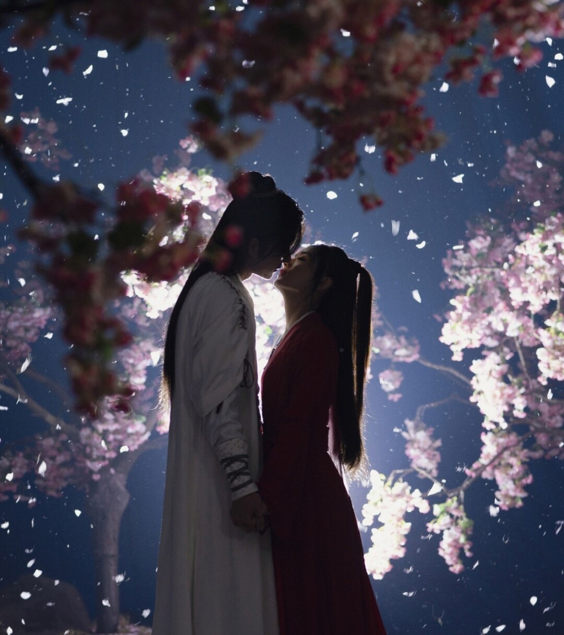 有翡花瓣吻唯美壁纸!