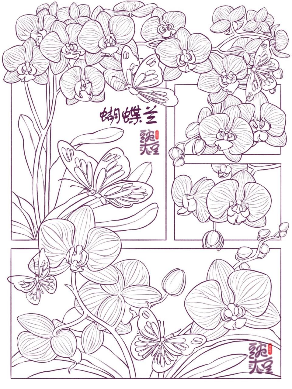 假期结束,继续画画 #蝴蝶兰# #家居花卉# #画画的日常# #笔记灵感