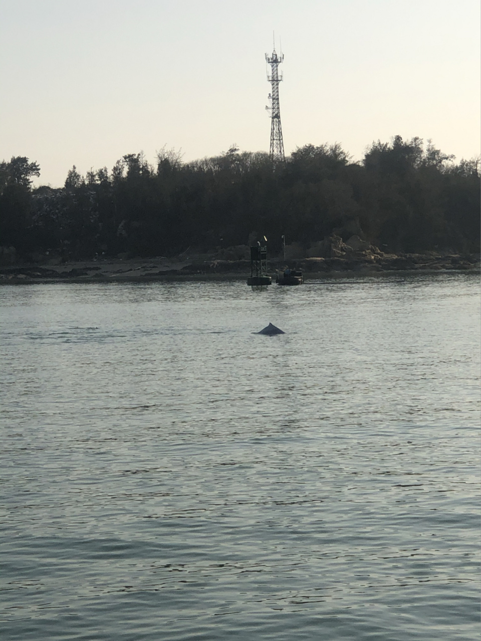 厦门旅游之大嶝岛小嶝岛 这是我去了厦门,最幸运也是最郁闷的一个地方