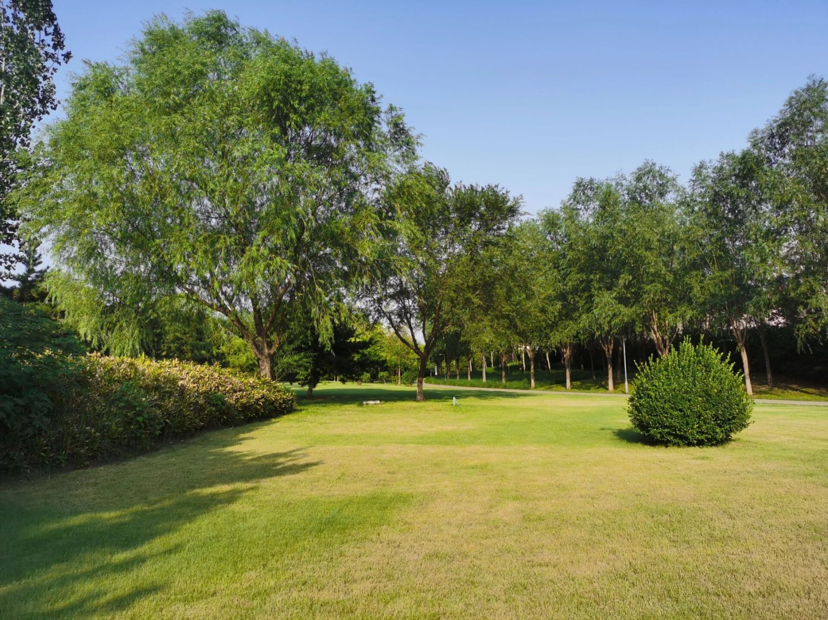 奔着翠屏湿地公园来的,公园不大,适合日常散散步,人流量小,可以拿上