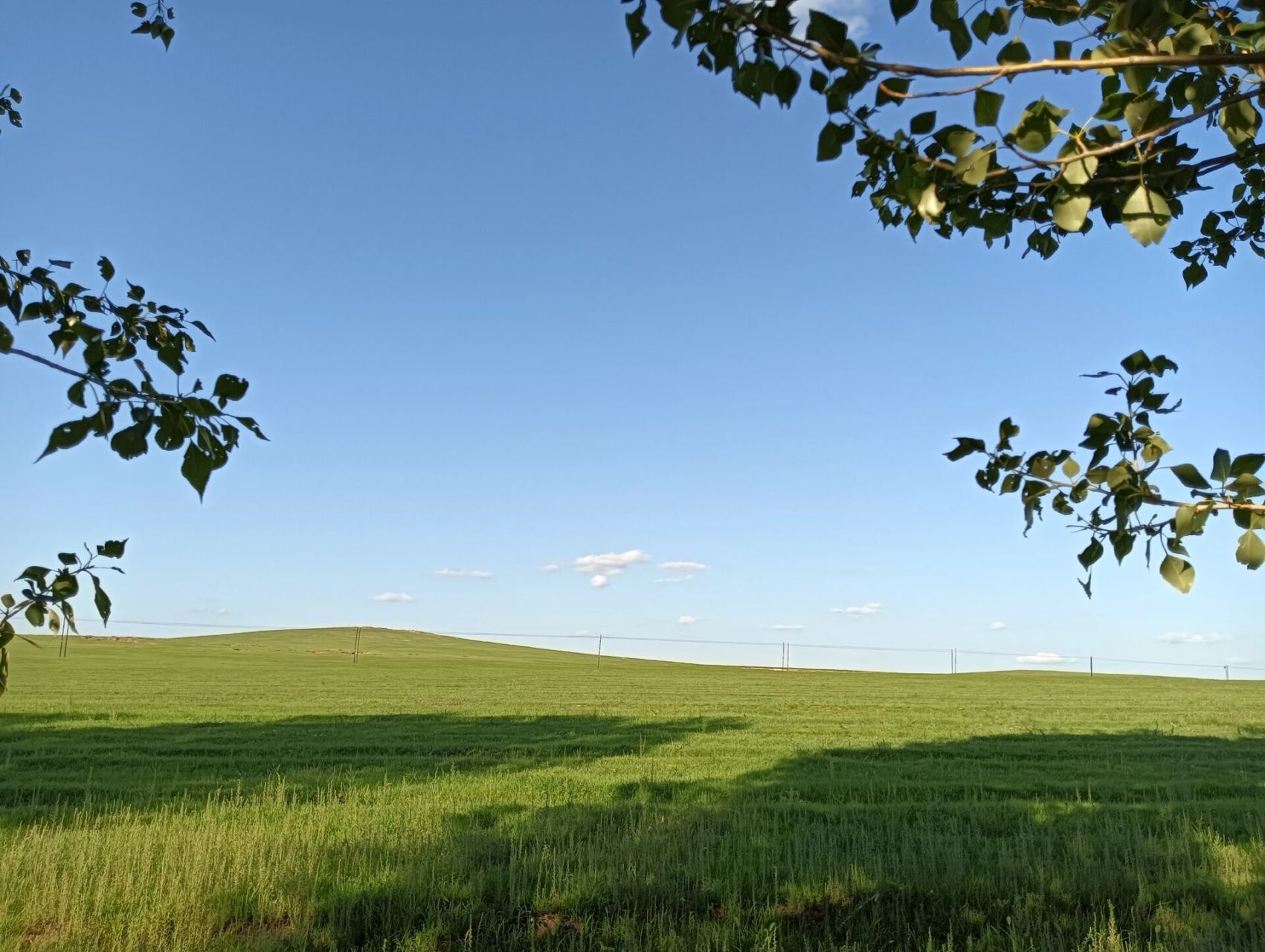 通遼美景 美麗的大草原