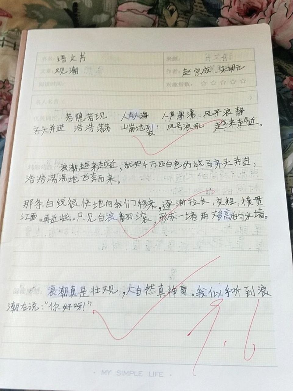 读书笔记四年级上册第一课观潮.