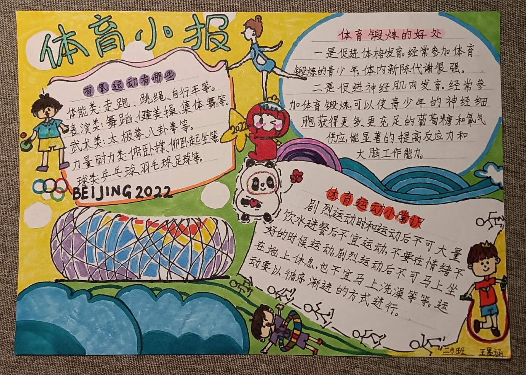 体育知识小报～体育手抄报 体育小报