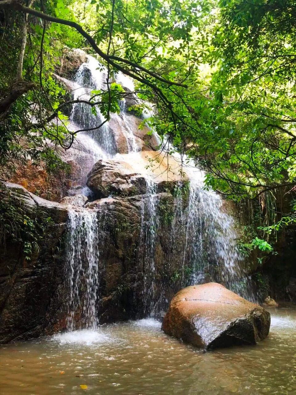 天龙溪自然风景逛天然瀑布群,竹林小溪玩水    98这个拥有2000庙的