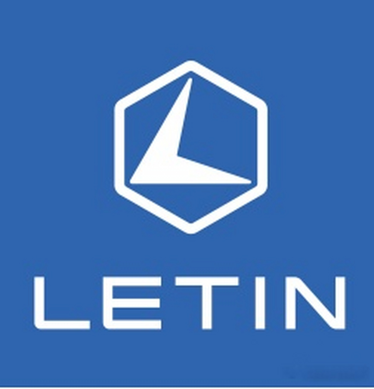 【老头乐销冠雷丁汽车申请破产 经销商曾联名举报是一家诈骗公司】 5