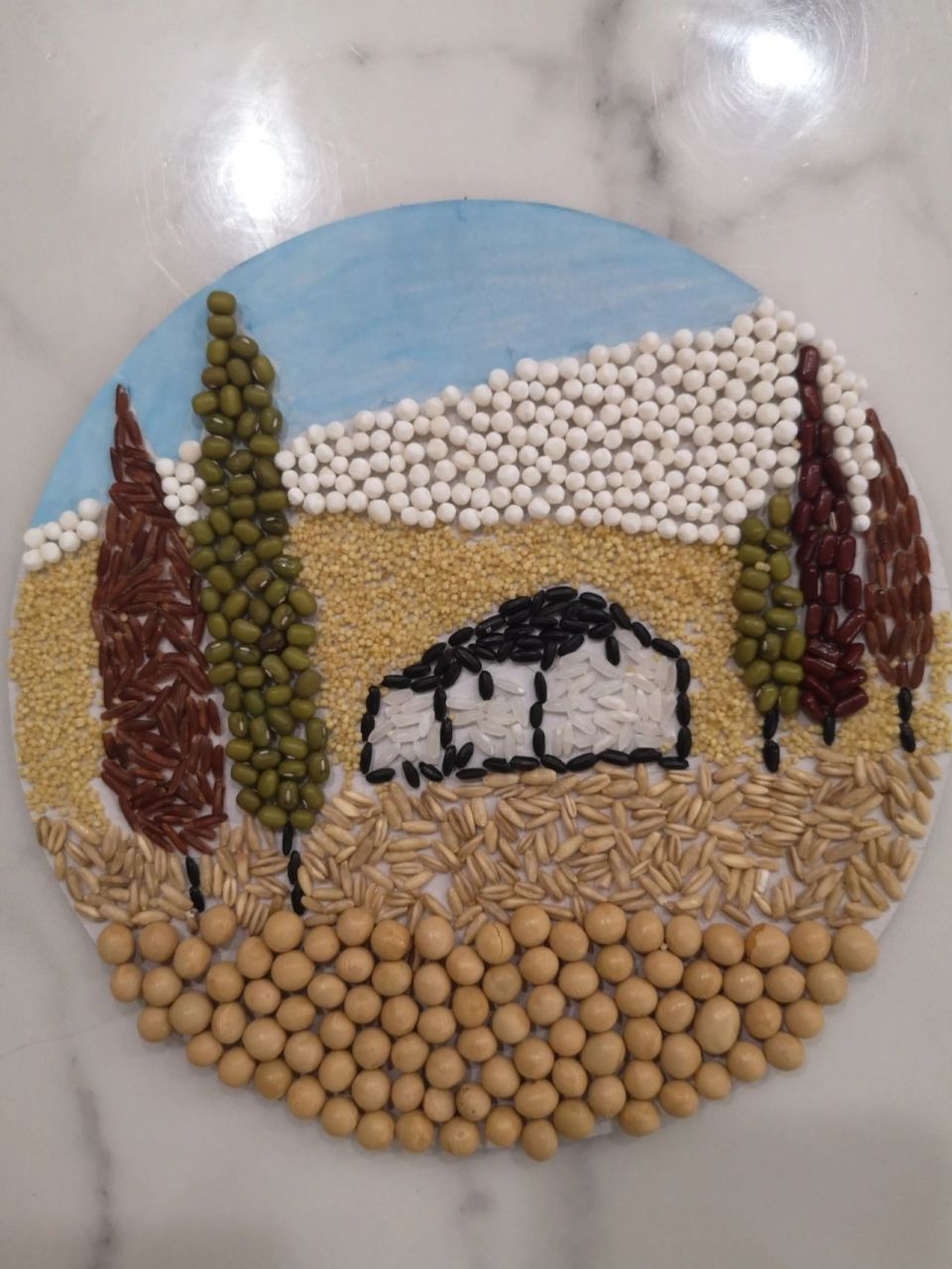 用豆子杂粮作画 本来准备和一一作这个画的,她有点不配合,把豆子撒的